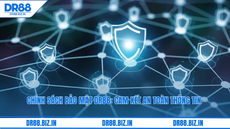 Chính sách bảo mật DR88: Cam kết an toàn thông tin người chơi