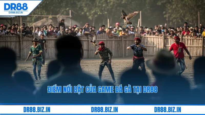 Điểm nổi bật của game đá gà tại dr88