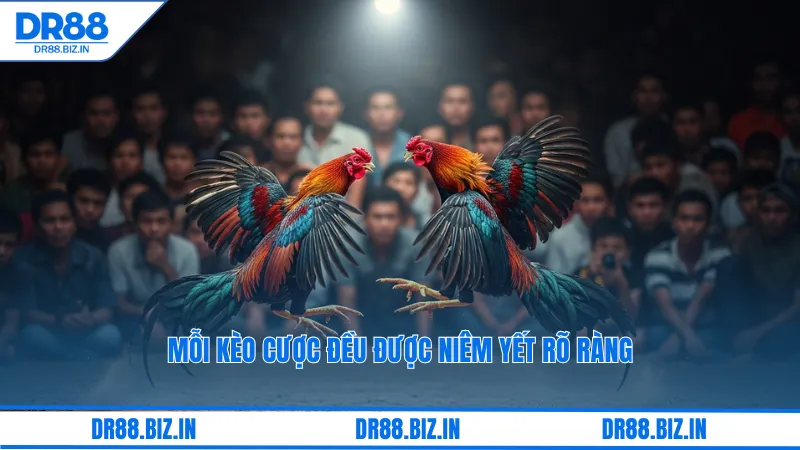 Mỗi kèo cược đều được niêm yết rõ ràng